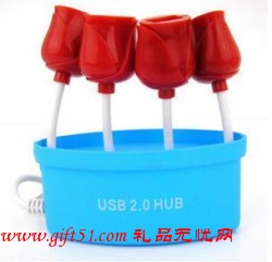 紅玫瑰USB擴展口