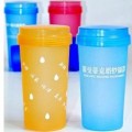廣告雙層塑料水杯