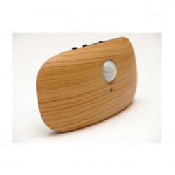 人體感應節(jié)能LED燈